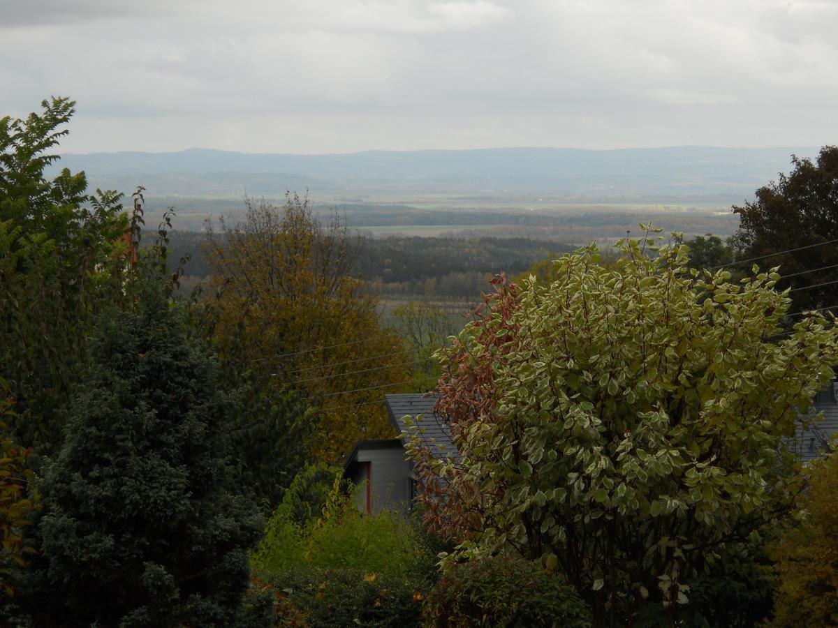 Hotel Garni Schloss Schoenberg Bad Brambach Buitenkant foto
